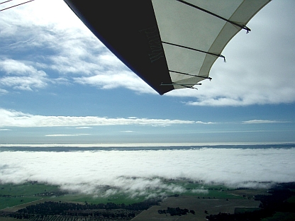 Fog.jpg