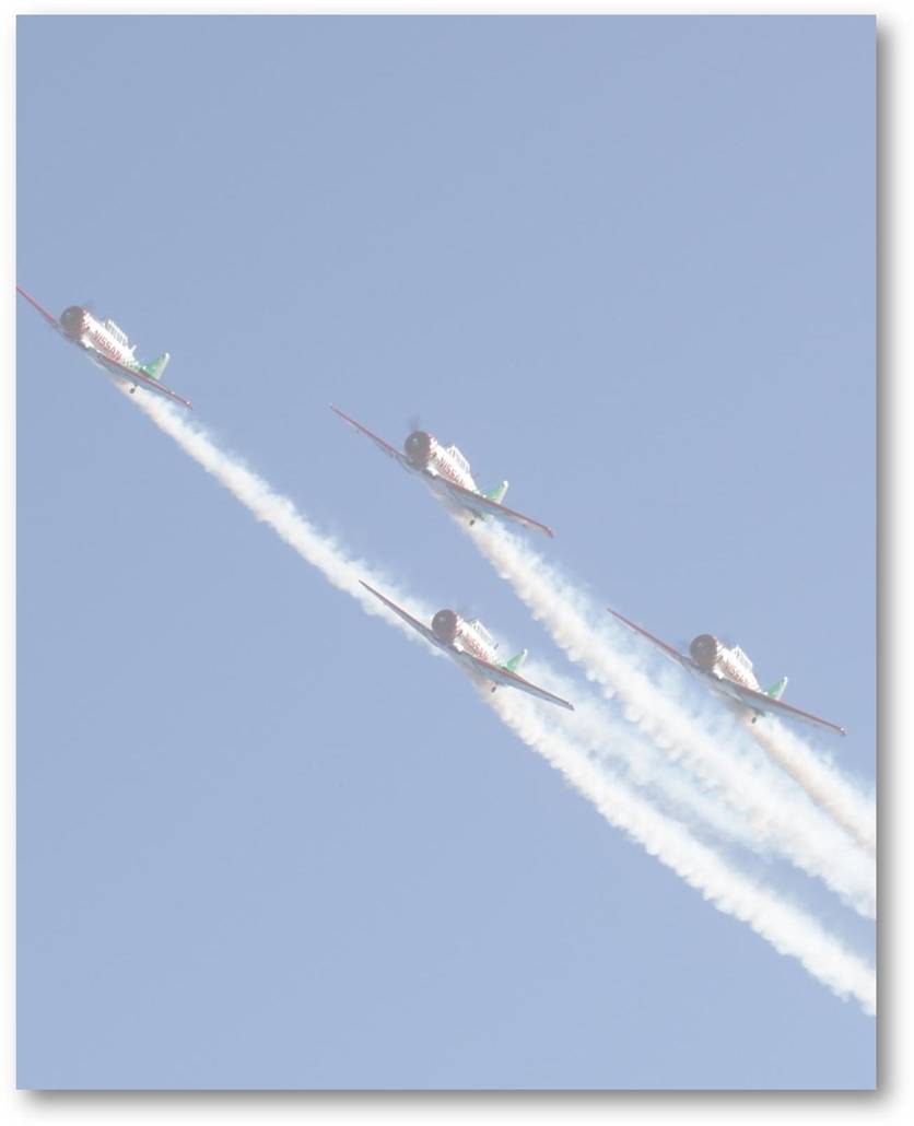 Harvards - image004.jpg