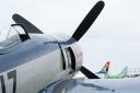 Filename=Sea_Fury_Exhaust.JPG
Filesize=175KiB
Dimensions=2048x1370
Date added=Dec 05, 2011 Sea_Fury_Exhaust.JPG